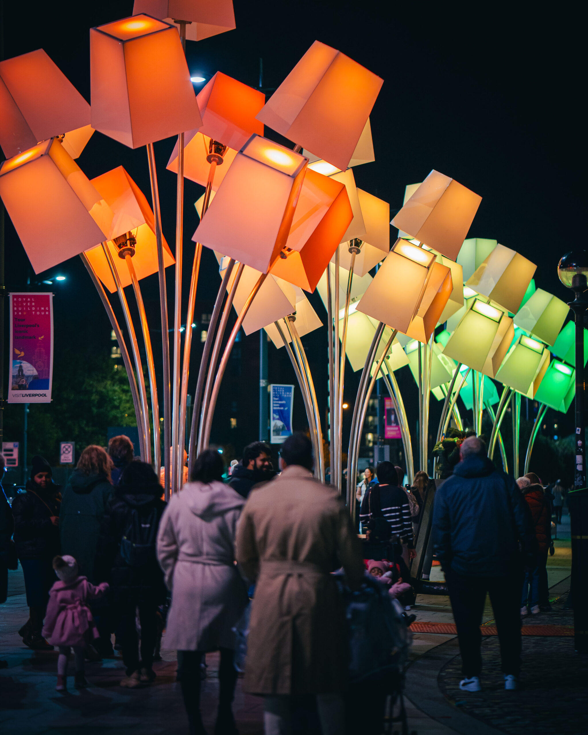 River Of Light 2026