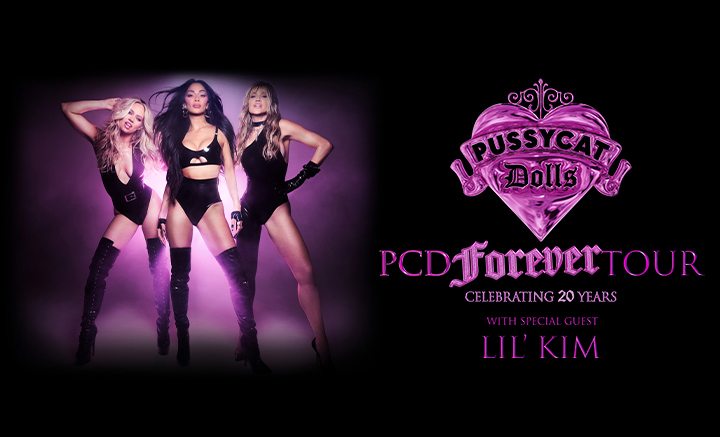 The Pussycat Dolls