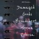 MIST Presents: Damaged Goods, Broadsheet Speak, Rebexa