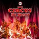 Gandeys Circus By Night Aintree