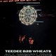 TeeDee B2B Wheats (All Night Long) | Hyperactive World