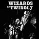 Wizards of Twiddly Live at Archive Liverpool