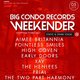 Big Condo Records Weekender Presents The Static & Spark Stage