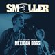 Smaller Live at Camp and Furnace with Support